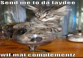 LOLcats