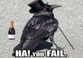 Rich Raven