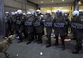 Riot Dog