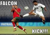 Falcon Punch