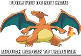 YOU DON'T HAVE ENOUGH BADGES TO TRAIN ME!