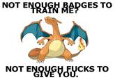 YOU DON'T HAVE ENOUGH BADGES TO TRAIN ME!
