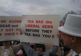Tea Party Protests