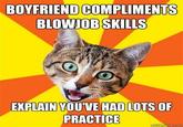 Bad Advice Cat