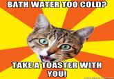 Bad Advice Cat
