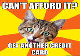 Bad Advice Cat