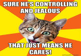 Bad Advice Cat