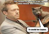 It's Not Lupus