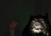 Smile.jpg