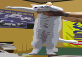 Longcat