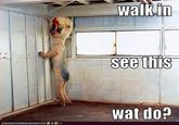 Wat Do?
