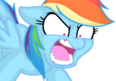 Pony Reactions