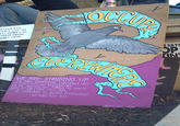 Occupy Protests