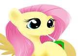 FlutterJuice