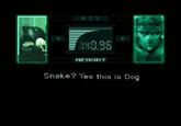 Yes, This is Dog