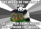 Pickup Line Panda
