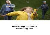 macecop