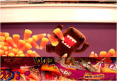 Domo