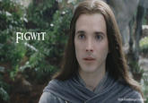 Figwit