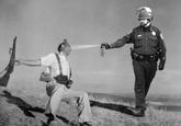 Casually Pepper Spray Everything Cop