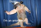 I'm an Anteater!!!
