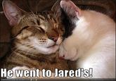 He Went to Jared