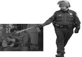 Casually Pepper Spray Everything Cop