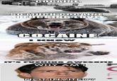 I Fucking Love Cocaine / Cocaine Bear