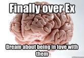 Scumbag Brain