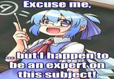 Touhou Project (東方Project)