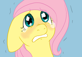 Pony Reactions