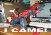 I Came