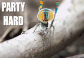 Party Hard