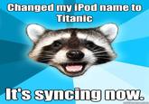 Lame Pun Coon