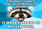 Lame Pun Coon