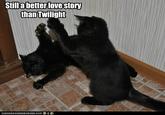 Still a Better Love Story than Twilight