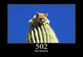 Cats