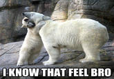 I Know That Feel Bro