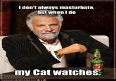The Most Interesting Man in the World