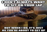 The Most Interesting Cat in the World