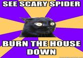 Anxiety Cat