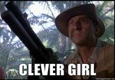 Clever Girl