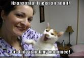 I need an adult