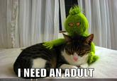 I need an adult