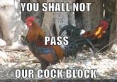 You Shall Not Pass!!!