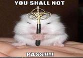 You Shall Not Pass!!!