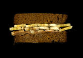 Scanwiches