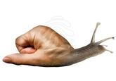 Awkward Stock Photos
