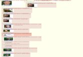Wikipedia Donation Banner Captions