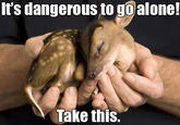 It's Dangerous to Go Alone! Take This
